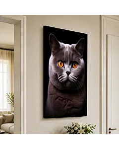 GATO BRITÁNICO GRIS