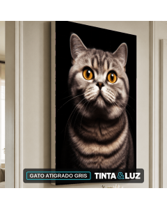 GATO ATIGRADO GRIS