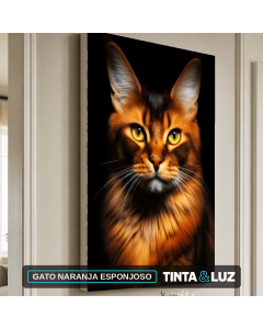 GATO NARANJA ESPONJOSO