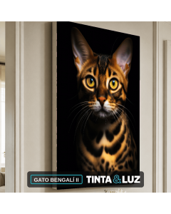 GATO BENGALÍ II