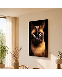 GATO MARRÓN