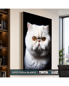 GATO PERSA BLANCO