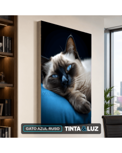 GATO AZUL RUSO