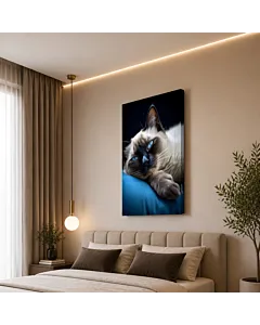 GATO AZUL RUSO