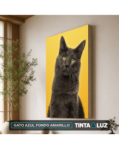 GATO AZUL FONDO AMARILLO