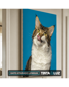 GATO ATIGRADO LENGUA