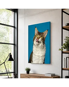 GATO ATIGRADO LENGUA