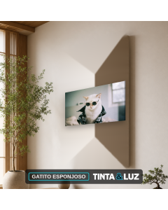 GATITO ESPONJOSO