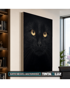 GATO NEGRO MISTERIOSO
