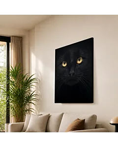 GATO NEGRO MISTERIOSO
