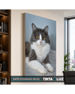 GATO ATIGRADO ROJO