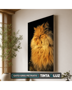 GATO GRIS RETRATO