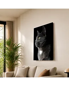 GATO ATIGRADO MIRADA