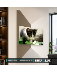 GATO GRIS OJOS DORADOS