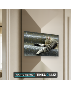GATITO TIERNO
