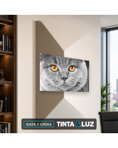 GATA Y CRÍAS