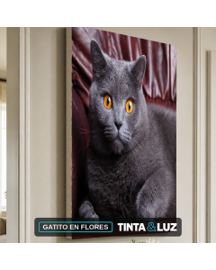 GATITO EN FLORES