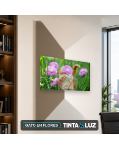 GATO EN FLORES