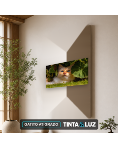 GATITO ATIGRADO