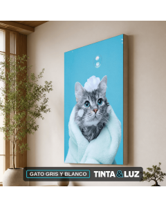 GATO GRIS Y BLANCO
