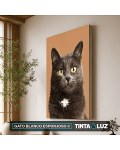 GATO BLANCO ESPONJOSO II