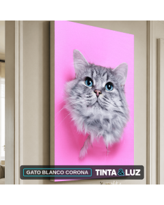 GATO BLANCO CORONA