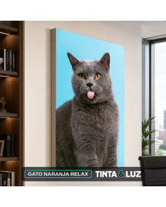 GATO NARANJA RELAX