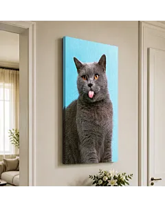 GATO NARANJA RELAX