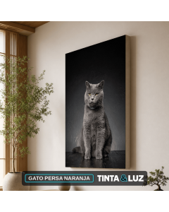 GATO PERSA NARANJA