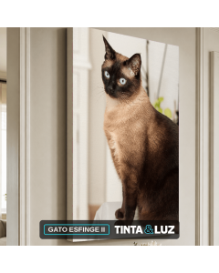 GATO ESFINGE II