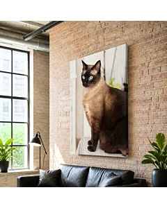 GATO ESFINGE II