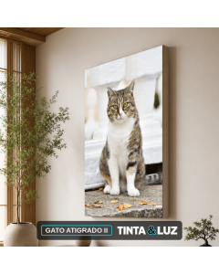 GATO ATIGRADO II