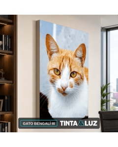 GATO BENGALÍ III