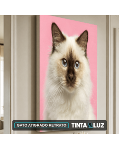 GATO ATIGRADO RETRATO