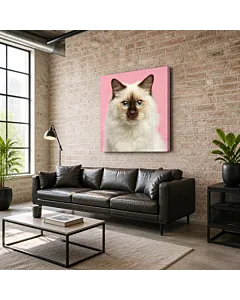 GATO ATIGRADO RETRATO