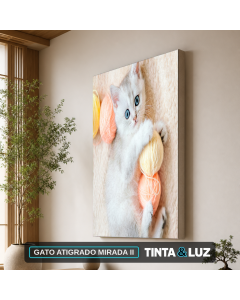 GATO ATIGRADO MIRADA II