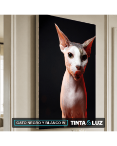 GATO NEGRO Y BLANCO IV