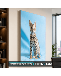 GATO GRIS PENSATIVO