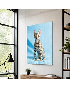 GATO GRIS PENSATIVO