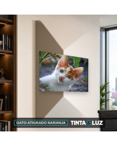 GATO ATIGRADO NARANJA