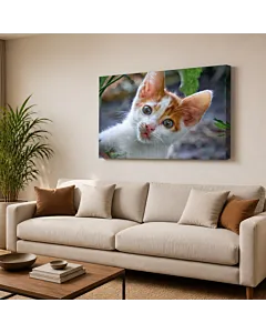 GATO ATIGRADO NARANJA