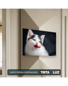 GATO PERSA ESPONJOSO
