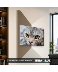 GATO GRIS OJOS VERDES