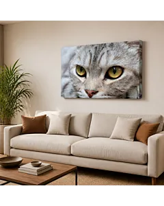 GATO GRIS OJOS VERDES