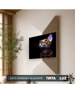GATO ATIGRADO ELEGANTE