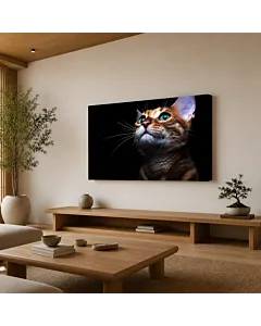 GATO ATIGRADO ELEGANTE