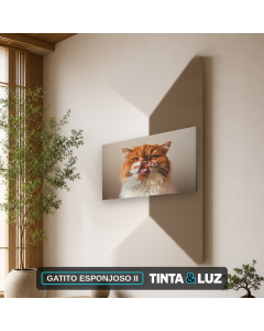 GATITO ESPONJOSO II