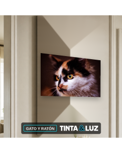 GATO Y RATÓN