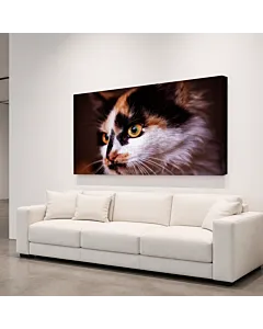 GATO Y RATÓN