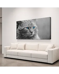 GATO PERSA NARANJA II